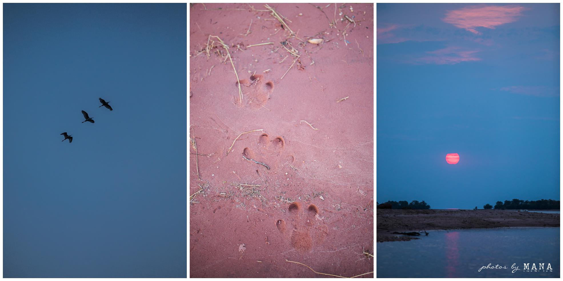 African destination safari bush wedding at Spurwing Island, Lake Kariba, Zimbabwe