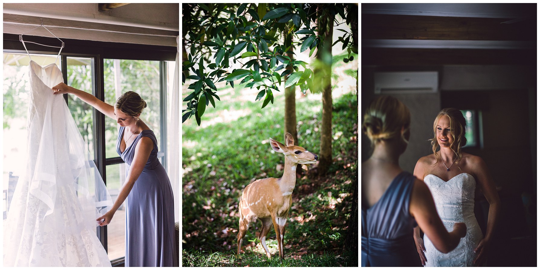 Vic Falls Safari wedding 012