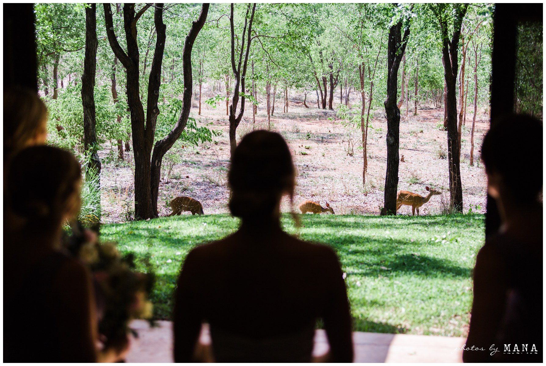 Destination safari bush wedding at Victoria Falls Safari Lodge in Victoria Falls, Zimbabwe, Africa. Destination safari wedding photograhy by Mana Meadows.