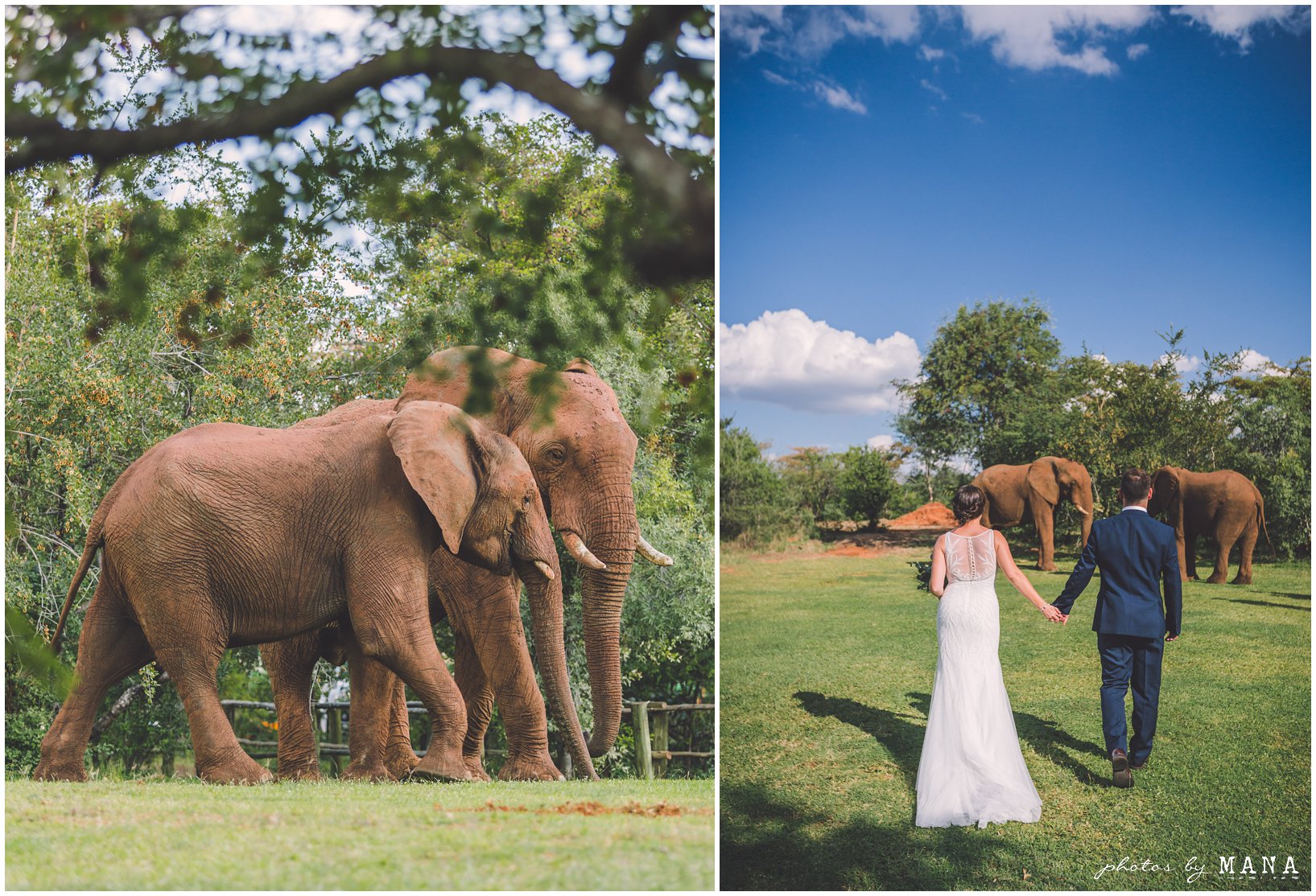 Penny and Michael’s Victoria Falls Safari Destination wedding on the Zambezi river.