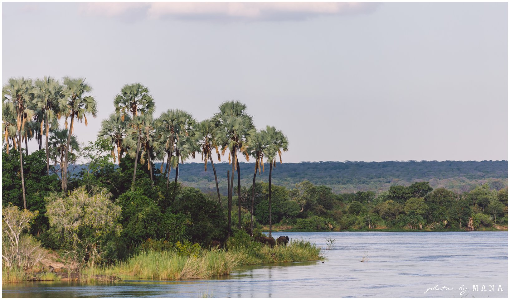 Victoria Falls Safari Zambezi Wedding Destination 071