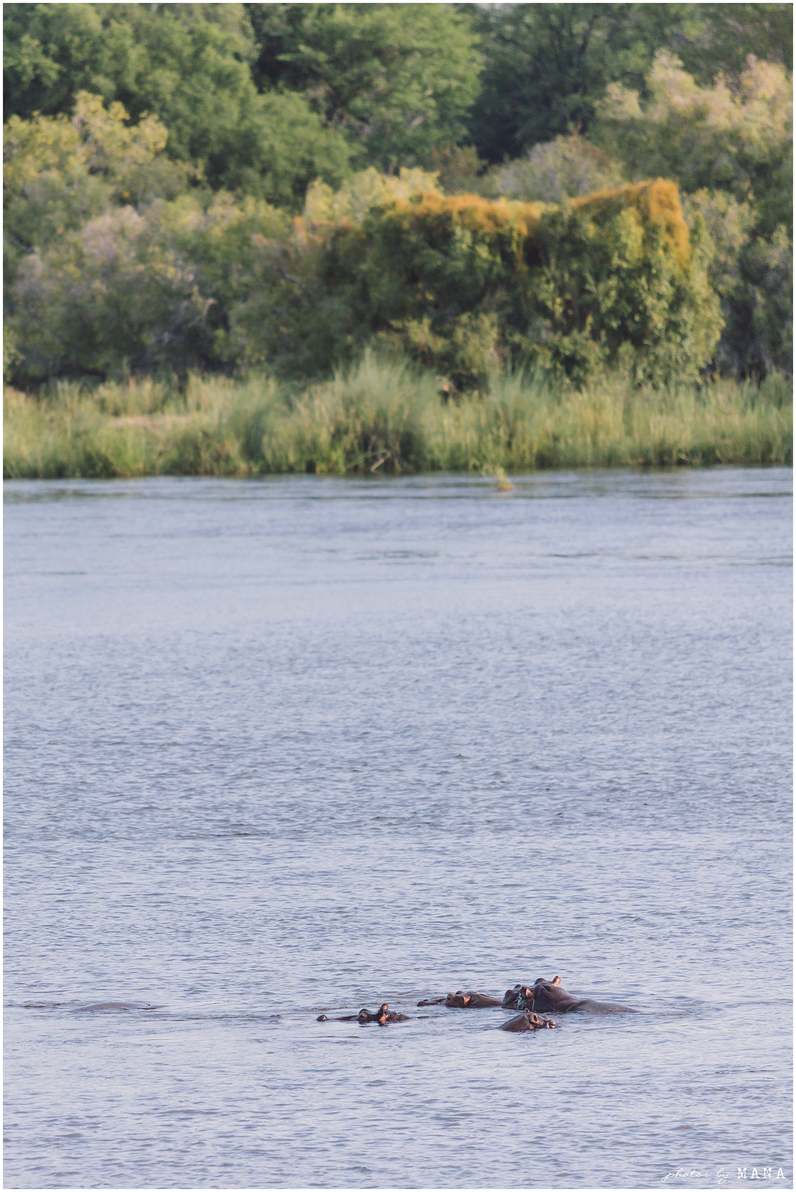 Victoria Falls Safari Zambezi Wedding Destination 075