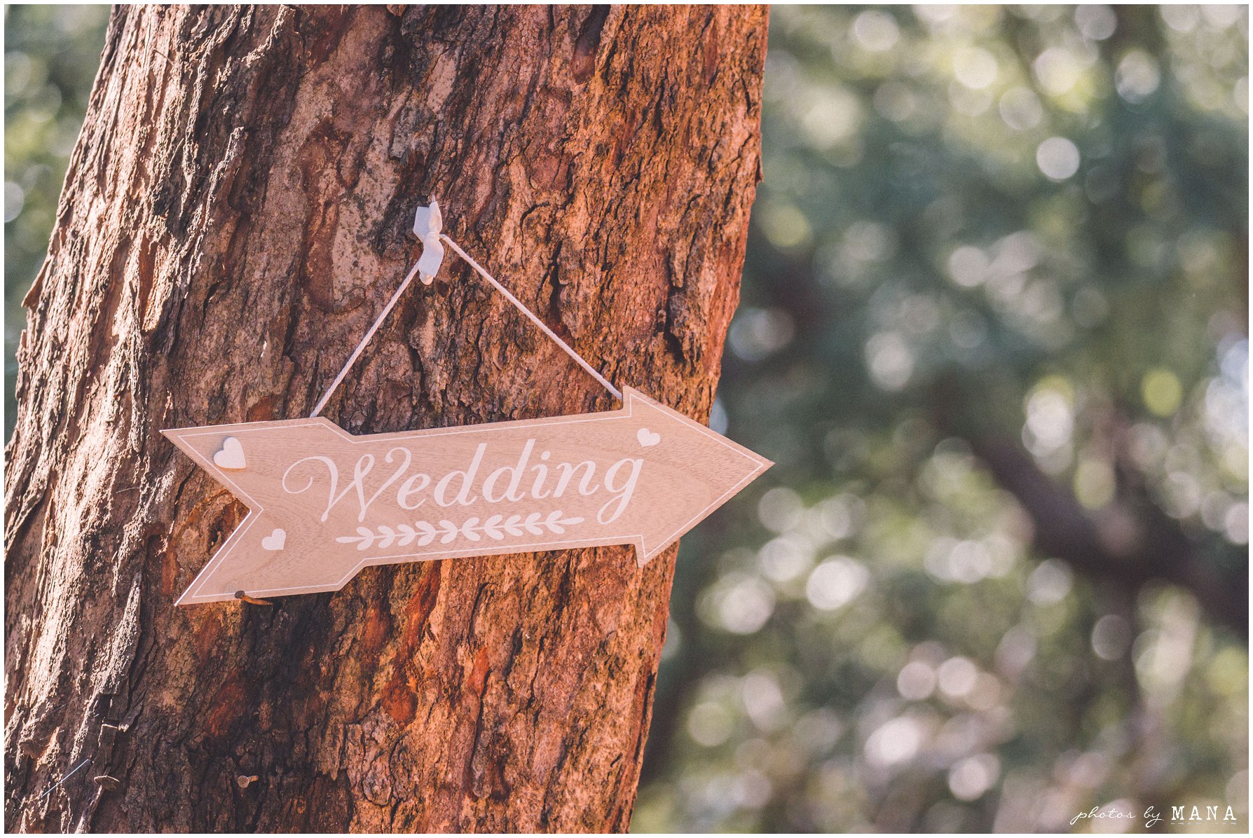 Sarah and Daniel Farm Safari Wedding Zambia blog 002