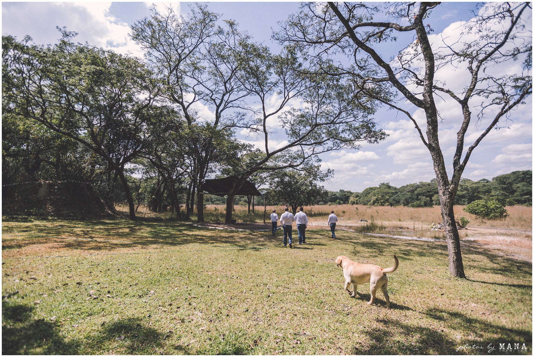 Zambian bush safari farm wedding - African destination safari wedding in Zambia.