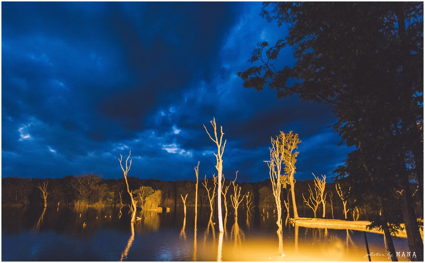 Zambian bush safari farm wedding - African destination safari wedding in Zambia.