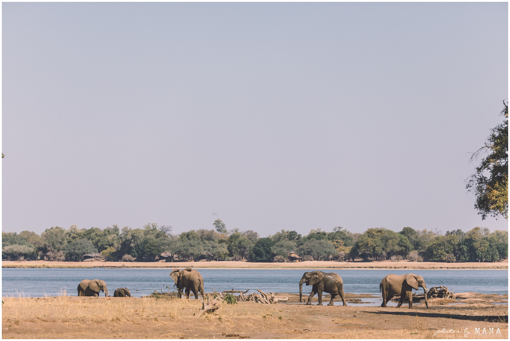 Safari destination bush wedding on the Zambezi River in Lower Zambezi National Park, Zambia.