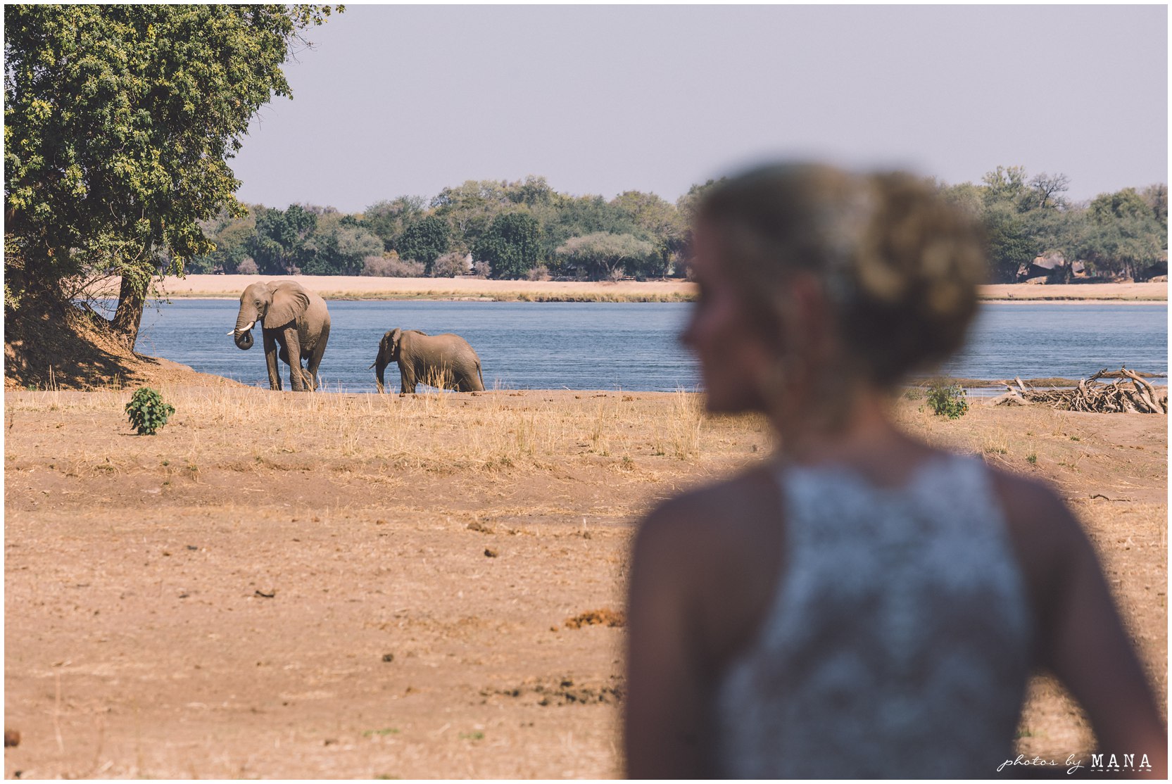 Safari destination bush wedding on the Zambezi River in Lower Zambezi National Park, Zambia.