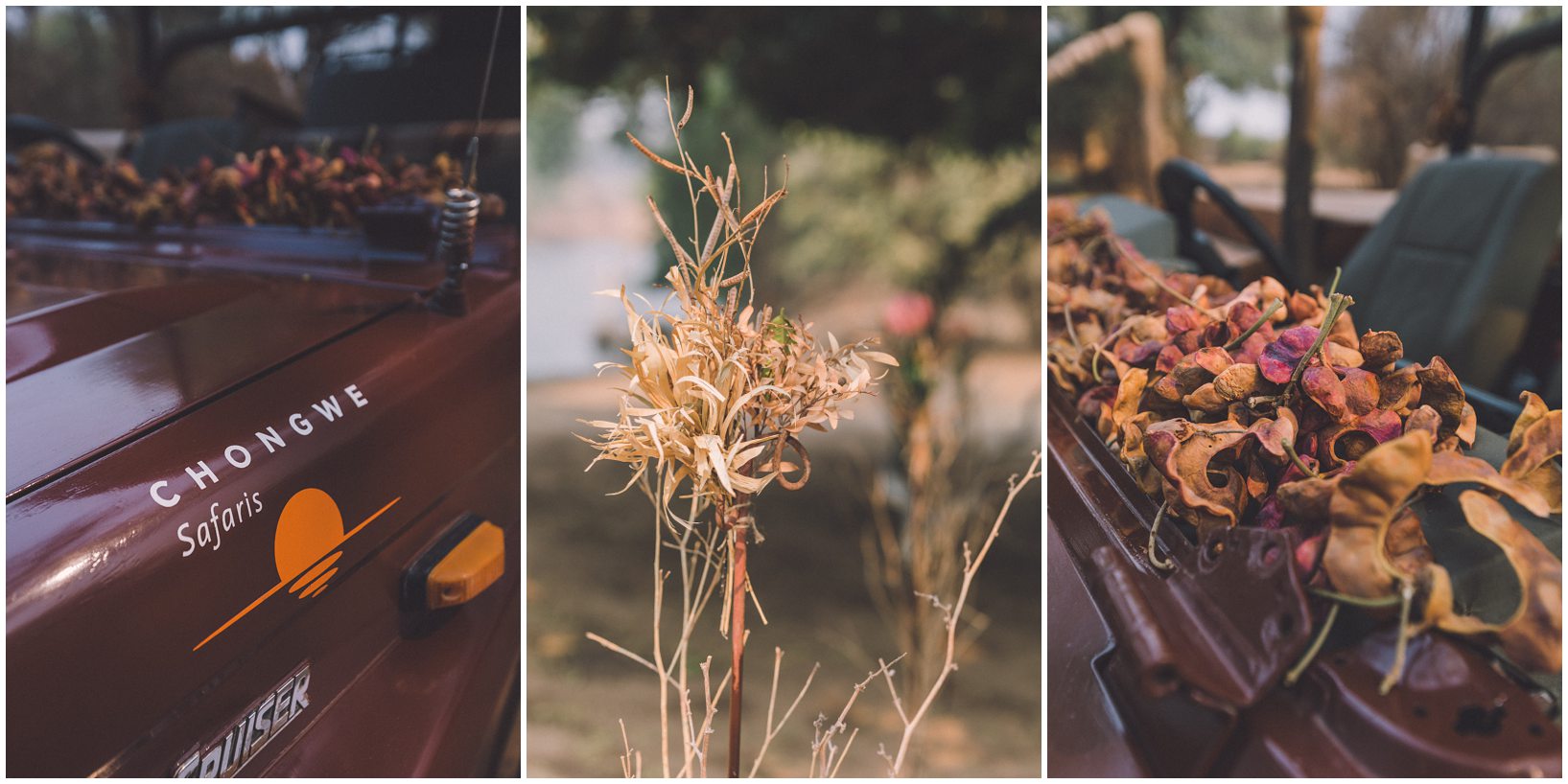 Casey and Jake’s safari elopement at Time and Tide’s Chongwe Camp in Lower Zambezi National Park, Zambia, Africa.