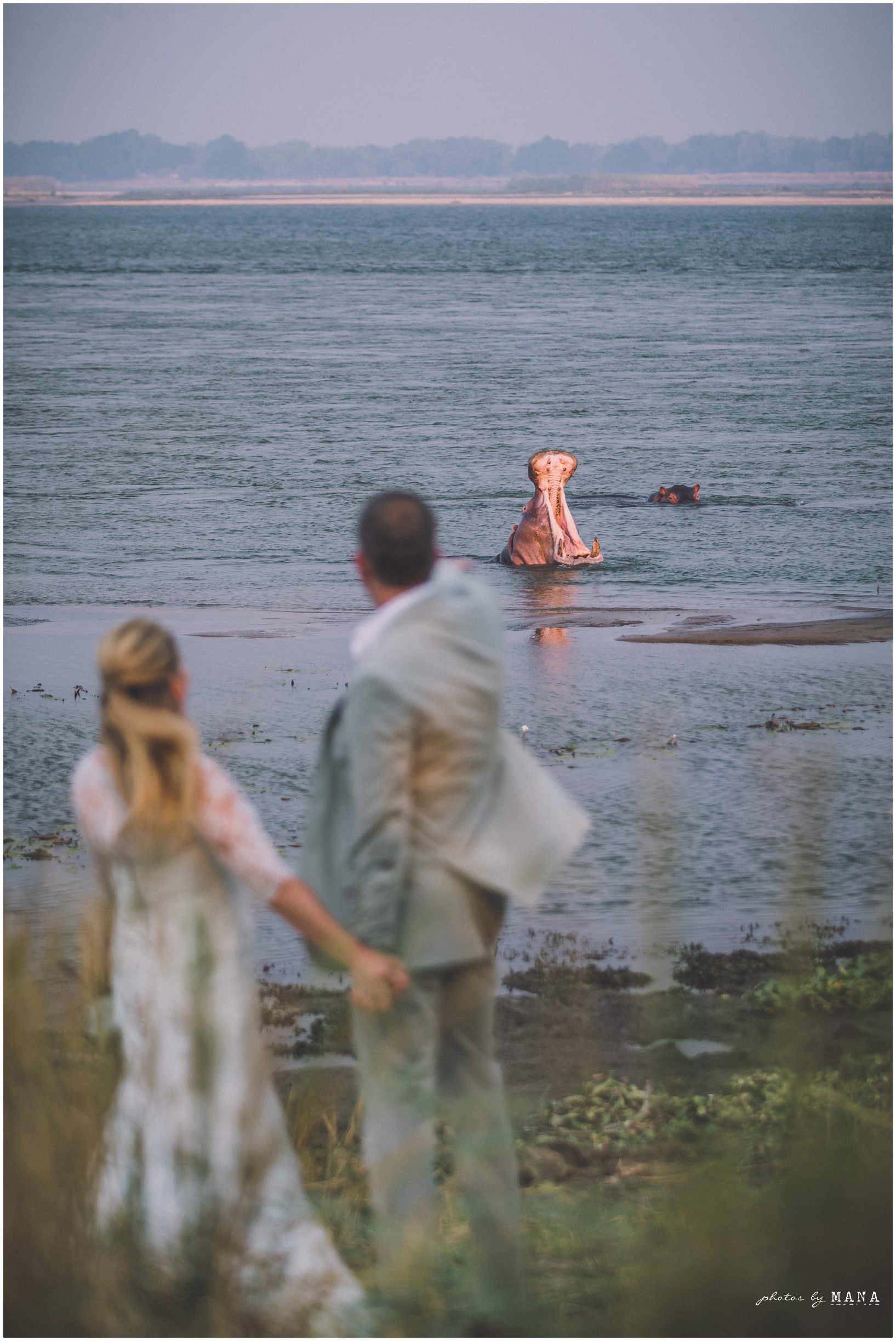 Casey and Jake’s safari elopement at Time and Tide’s Chongwe Camp in Lower Zambezi National Park, Zambia, Africa.