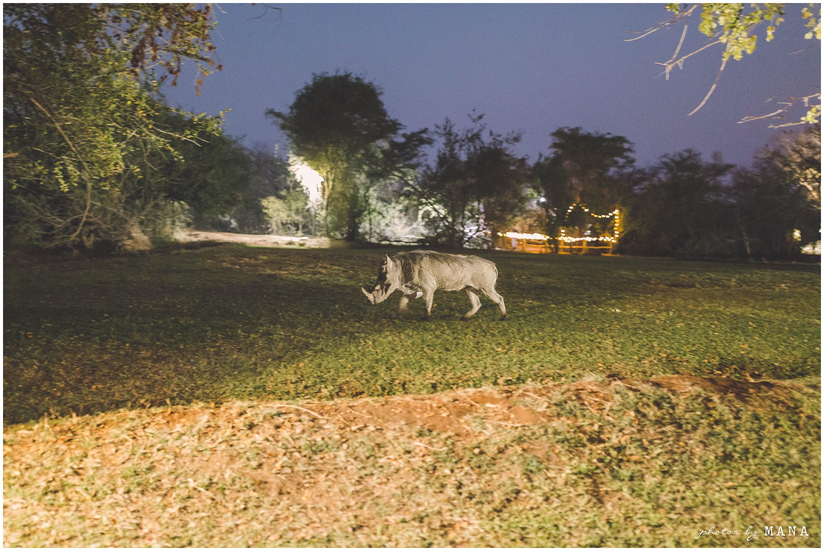 African safari wedding on the banks of the Zambezi River in Victoria Falls, Zimbabwe. Photography by Photos by Mana.