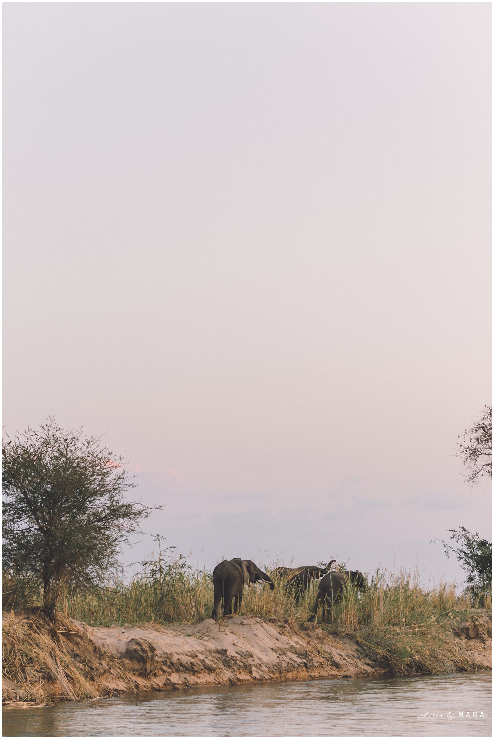 Safari Elopement Zambia Bush Wedding 040