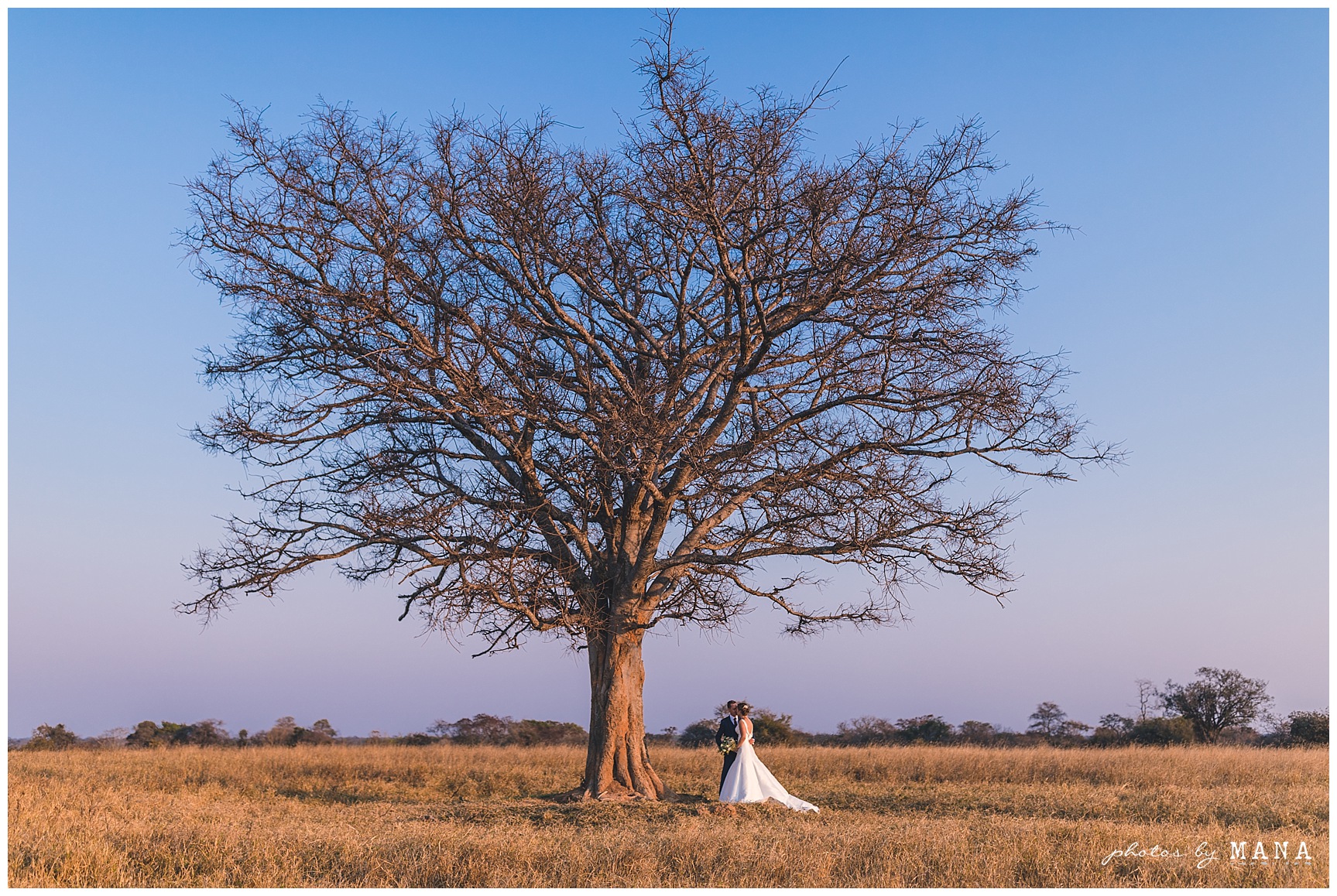 Lucy and Brent's farm bush wedding